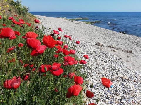 Экотуризм в Болгарии. Жилье рядом с заповедниками и экотропами