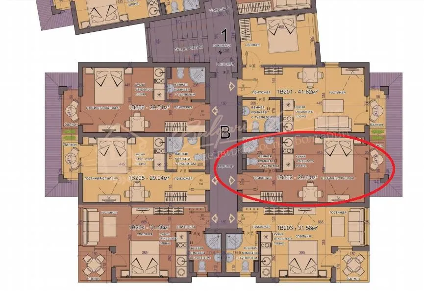 Студия, Sunset Deluxe, Кошарица