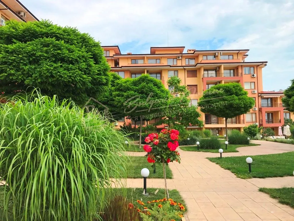 Студия, Magic Dreams, г.Святой Влас