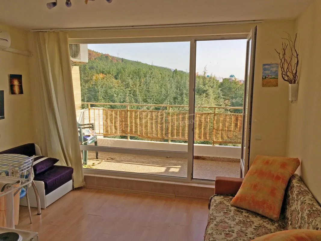 Студия, Crown Fort, г.Святой Влас