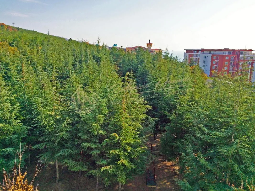 Студия, Crown Fort, г.Святой Влас