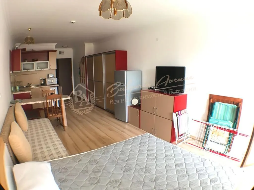 Студия, Amphora, г.Святой Влас