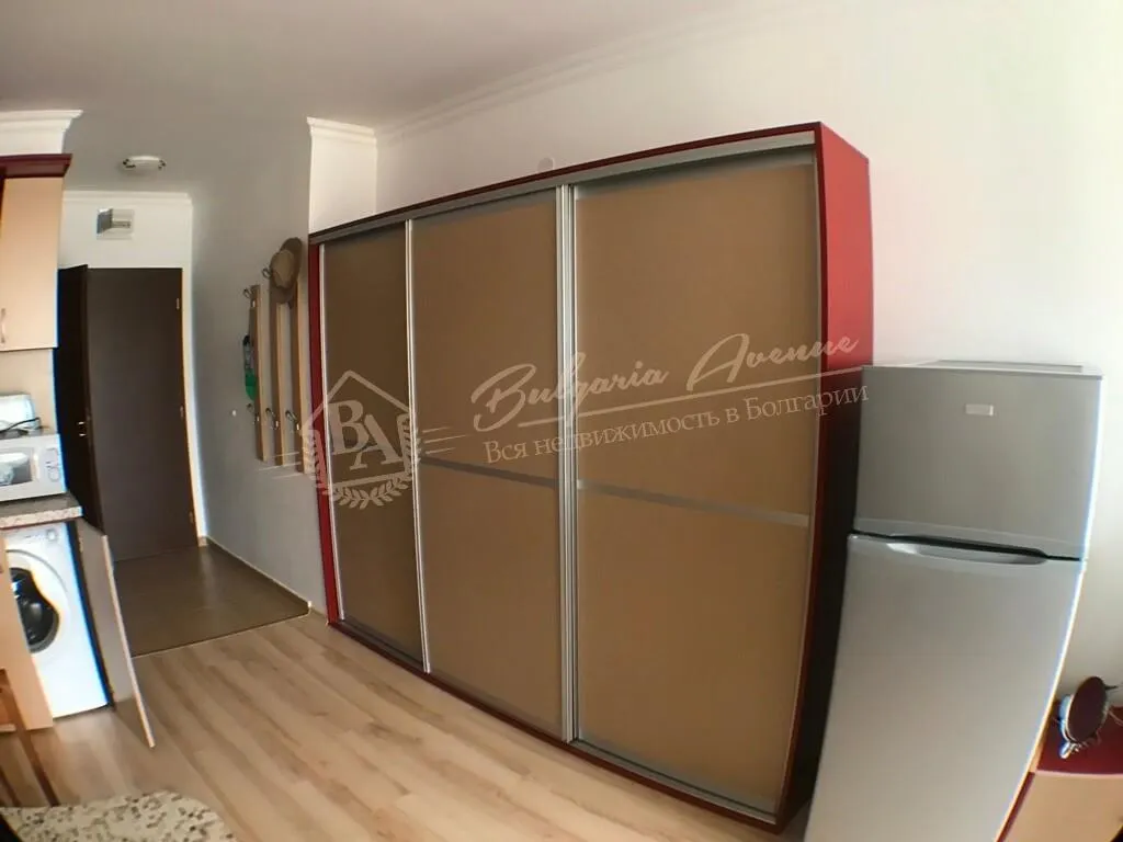 Студия, Amphora, г.Святой Влас