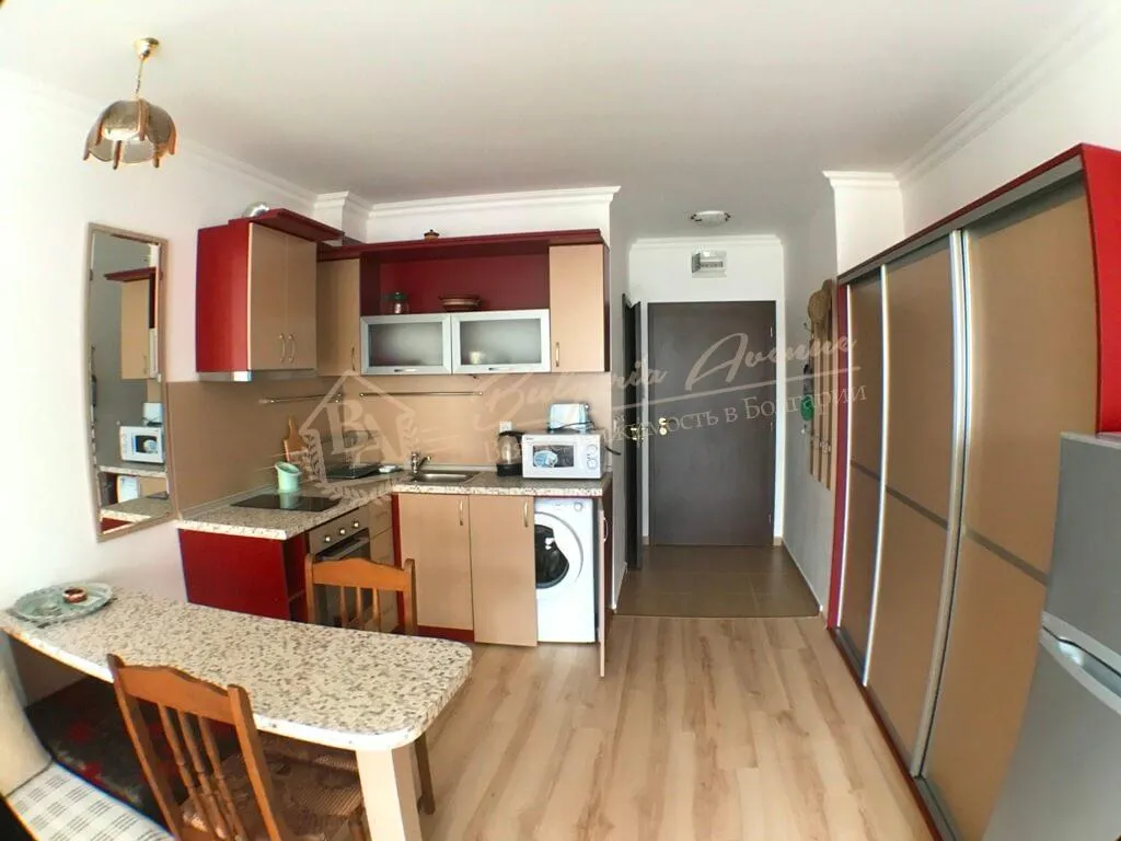 Студия, Amphora, г.Святой Влас