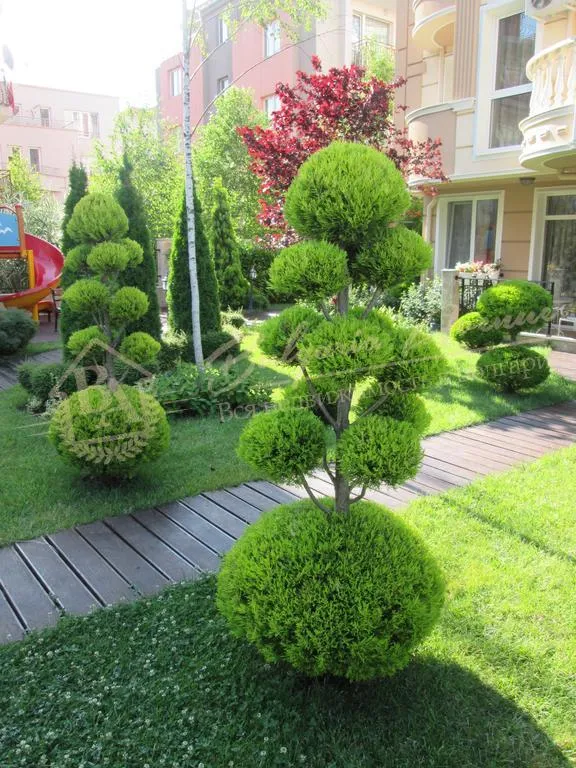 Просторная студия, Мелия Бутик, г.Несебр