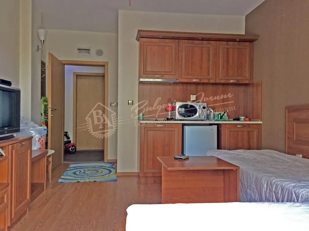 Большая студия, Avalon, г.Солнечный Берег