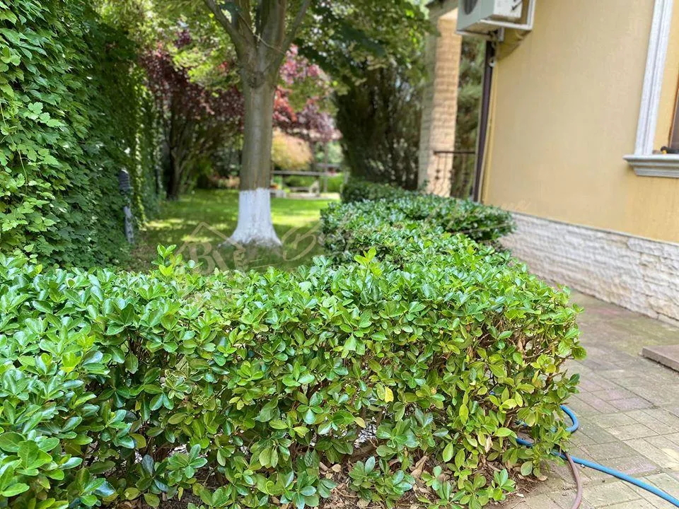 Роскошный дом с бассейном и собственным садом в районе Траката, г.Варна