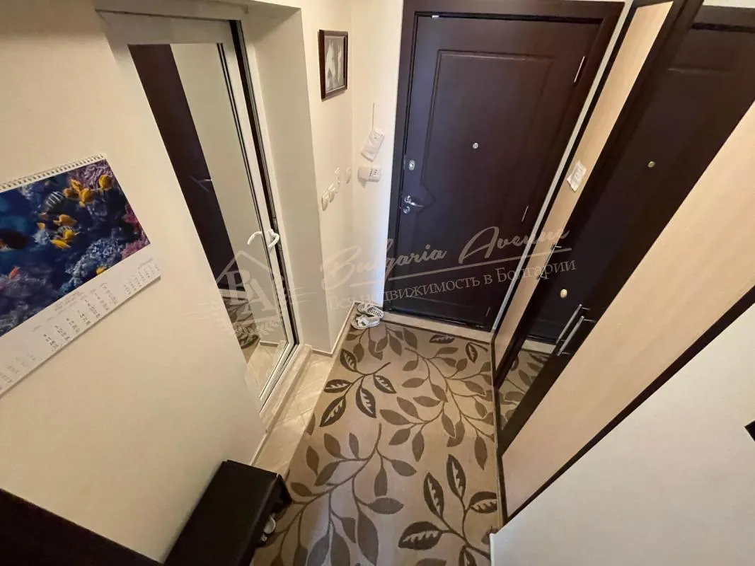 Большая студия в комплексе "Тарантула" в кк Солнечный берег