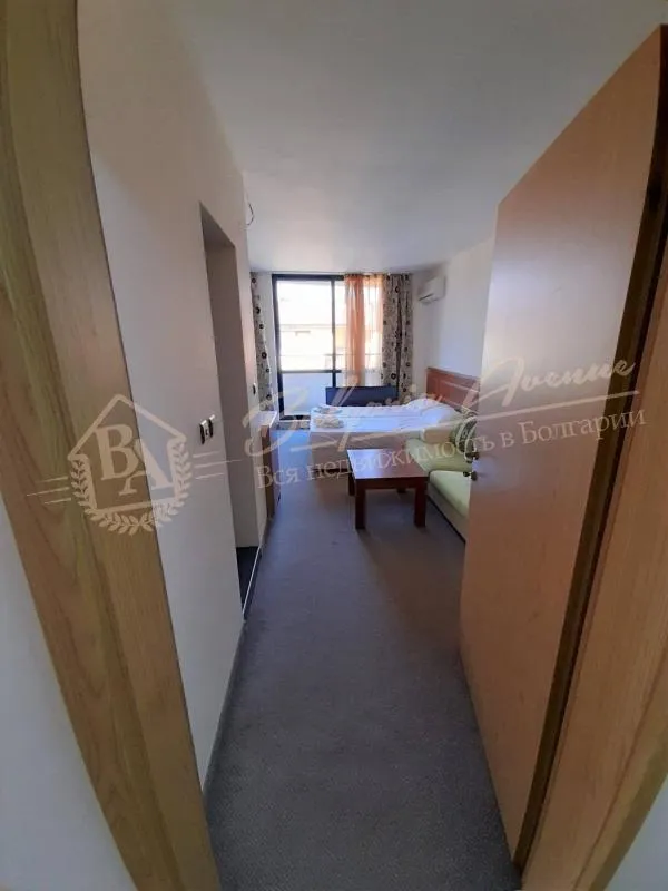 Большая студия в комплексе "Авалон" на Солнечном берегу